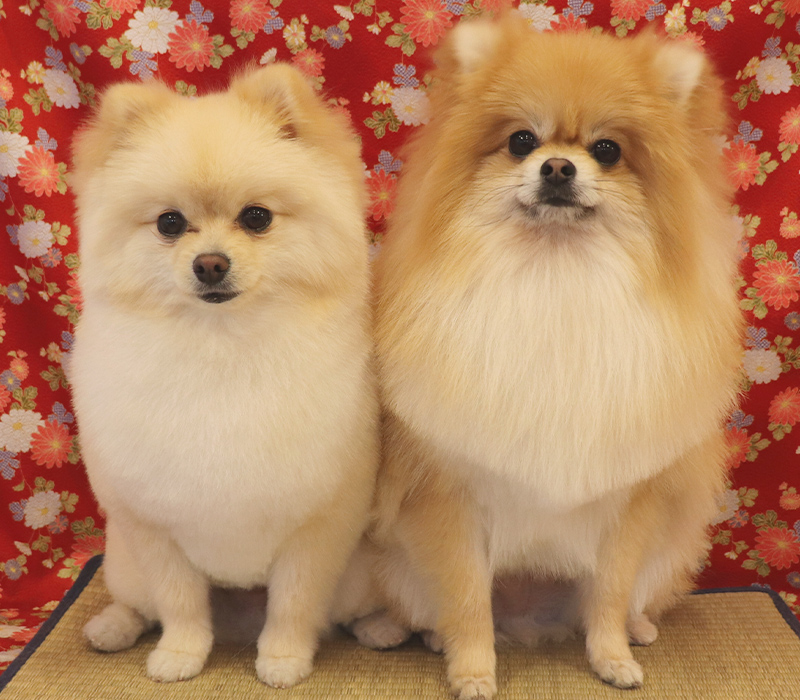 メイン画像1枚目