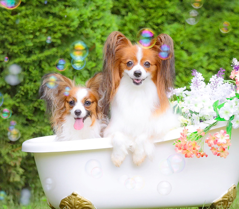 メイン画像2枚目