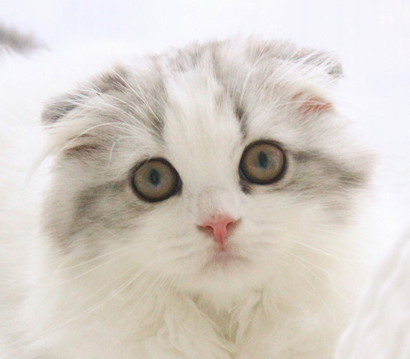 メイン画像3枚目