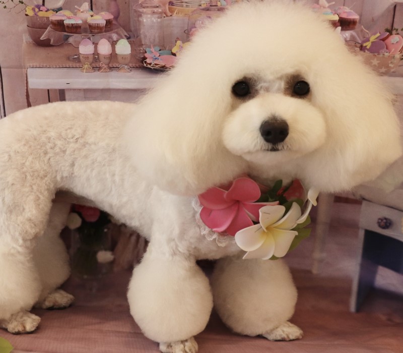 メイン画像5枚目